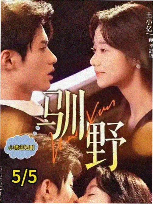 古言题材年度数据观察配图